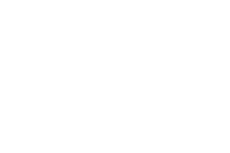 ElderCare Consultants