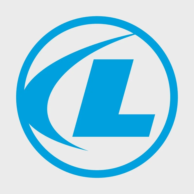 LSI Graphics favicon