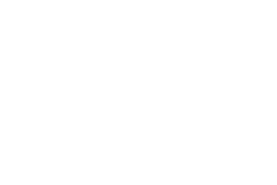 LSI Graphics