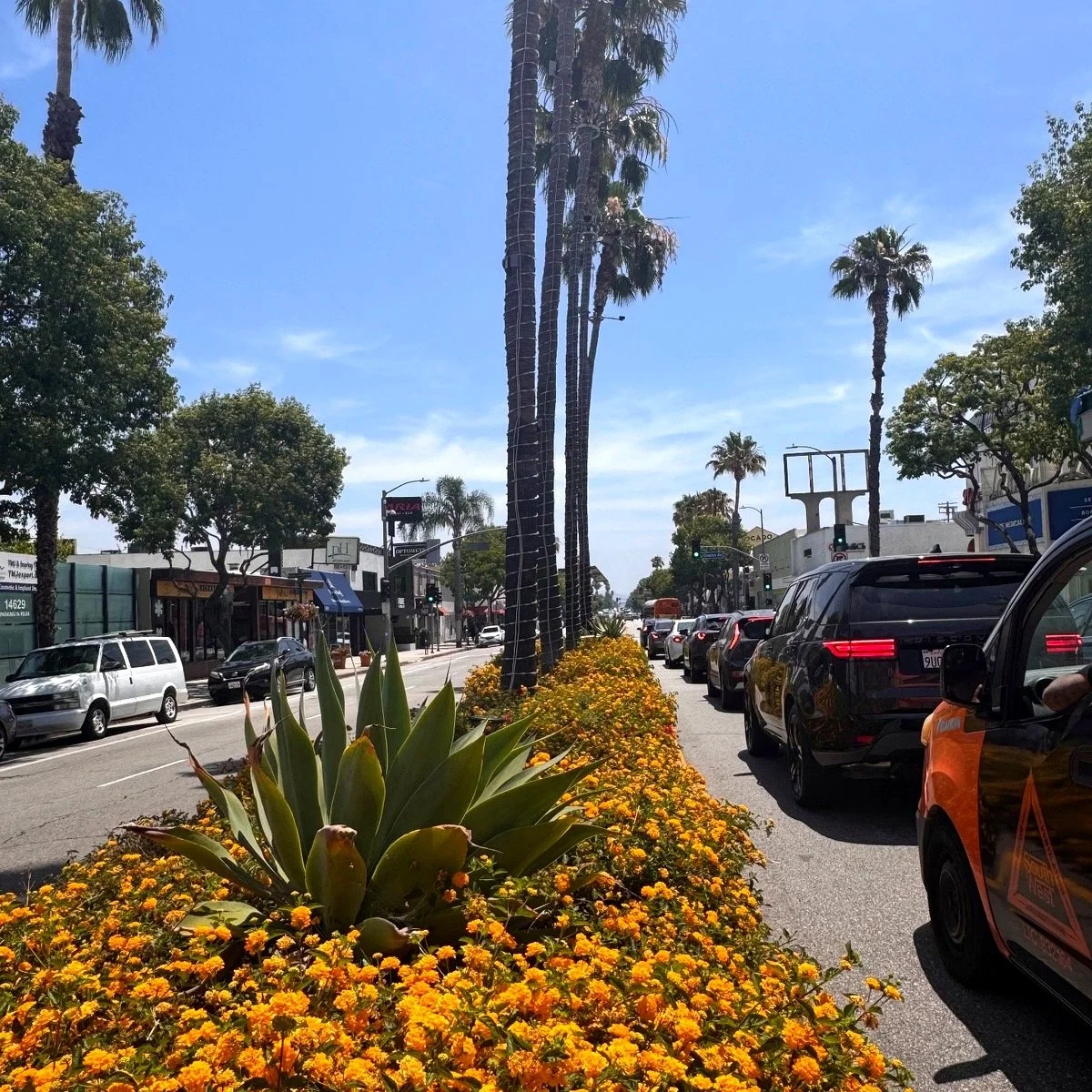 Cocoa and Candy shop in Sherman Oaks