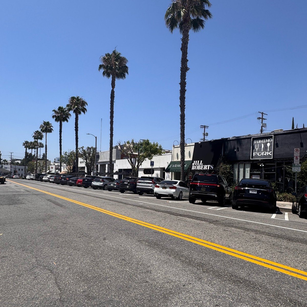 Tuning Fork and Jill Roberts shops with palm trees on Ventura Boulevard in Studio City