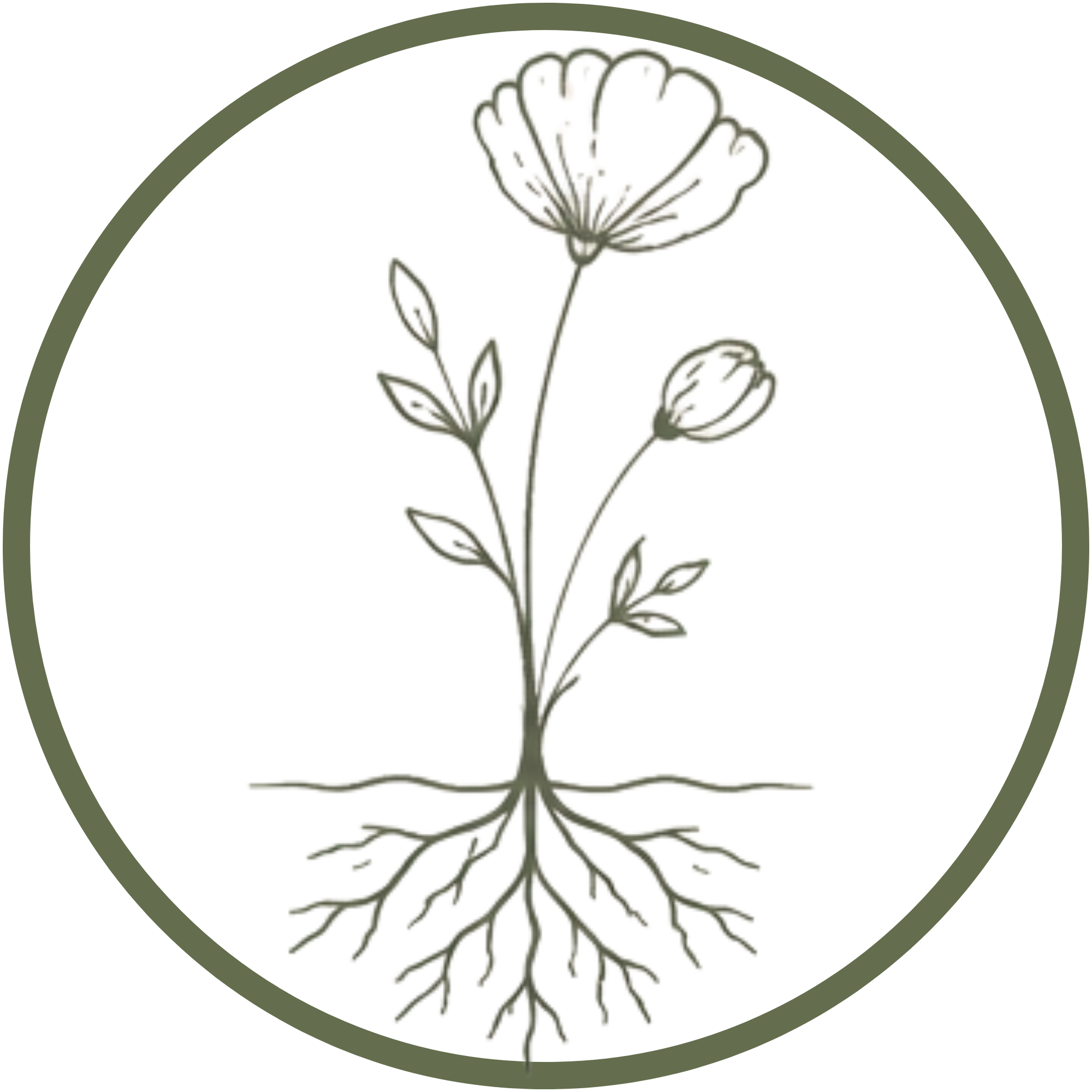 Root and Rise