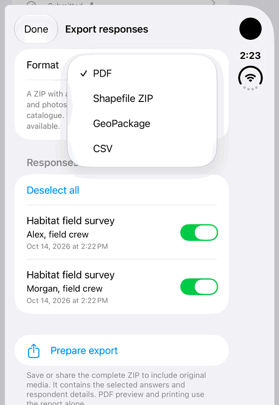 Import and export Shapefiles: genuine looping iPhone Duo recording at half speed