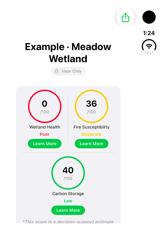 Read land indicators with context: genuine looping iPhone Duo recording at half speed