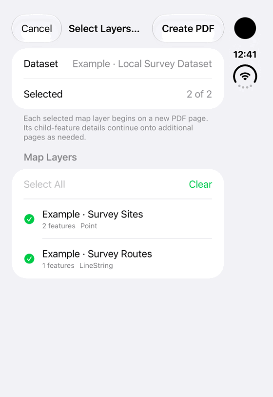 Print selected dataset layers: genuine looping iPhone Duo recording at half speed