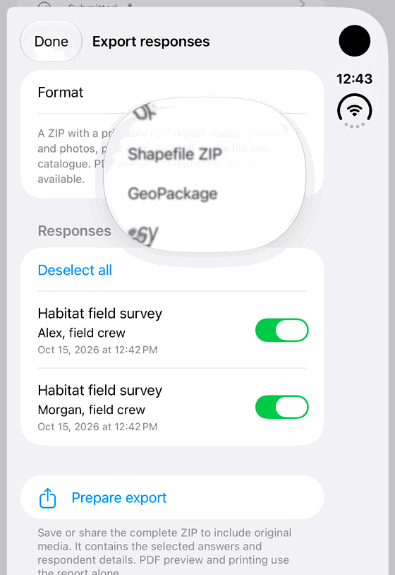 Prepare a printable Forms report: genuine looping iPhone Duo recording at half speed