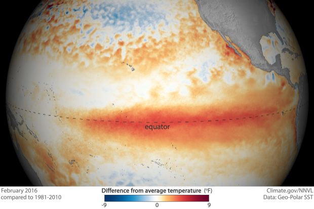 NOAA sea surface temperature anomaly map of the Pacific Ocean showing the warm equatorial signature of an El Niño event — the climate pattern driving the 2026 Western U.S. wildfire forecast
