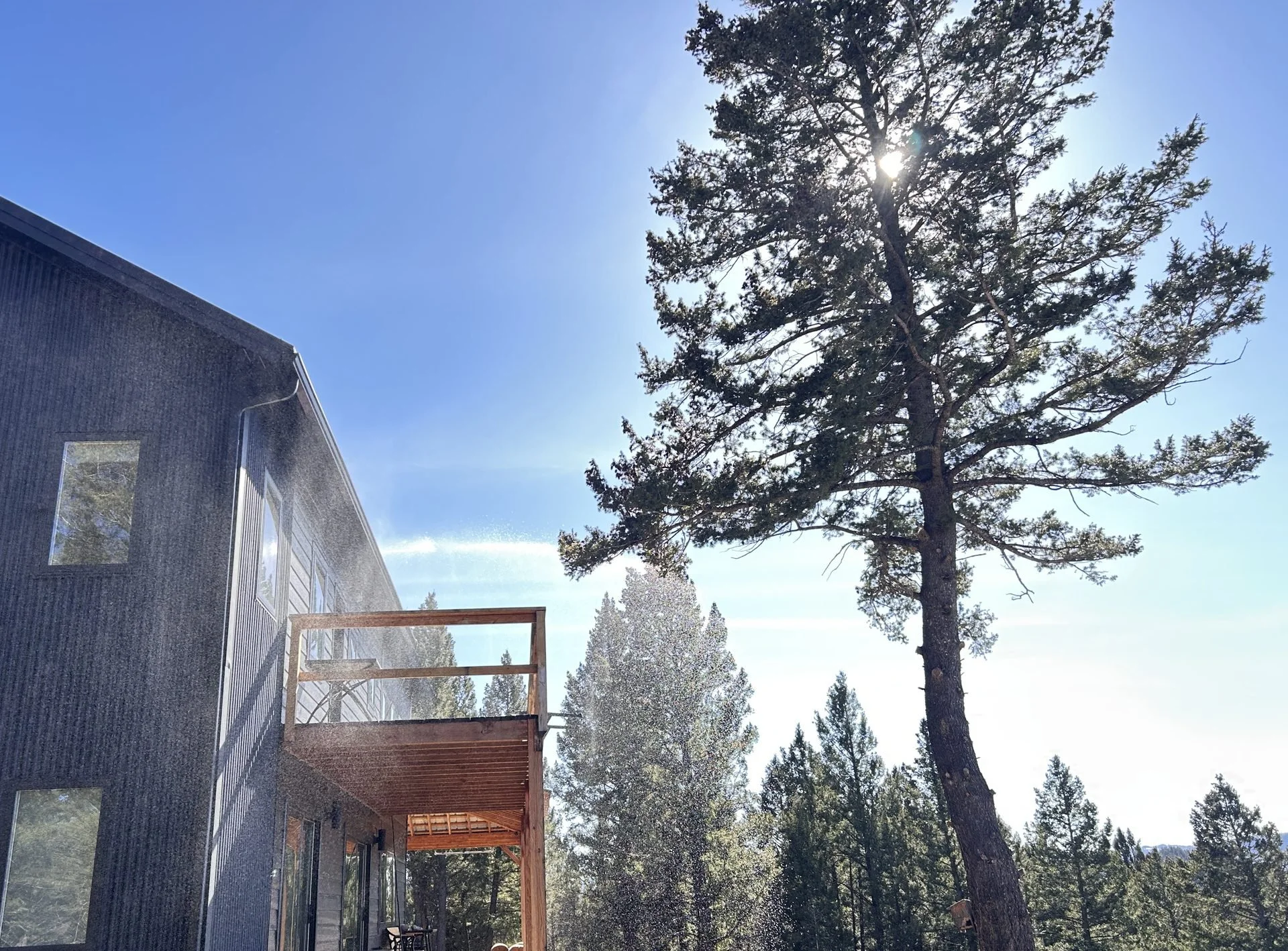 CitroSafe lumber treatment application