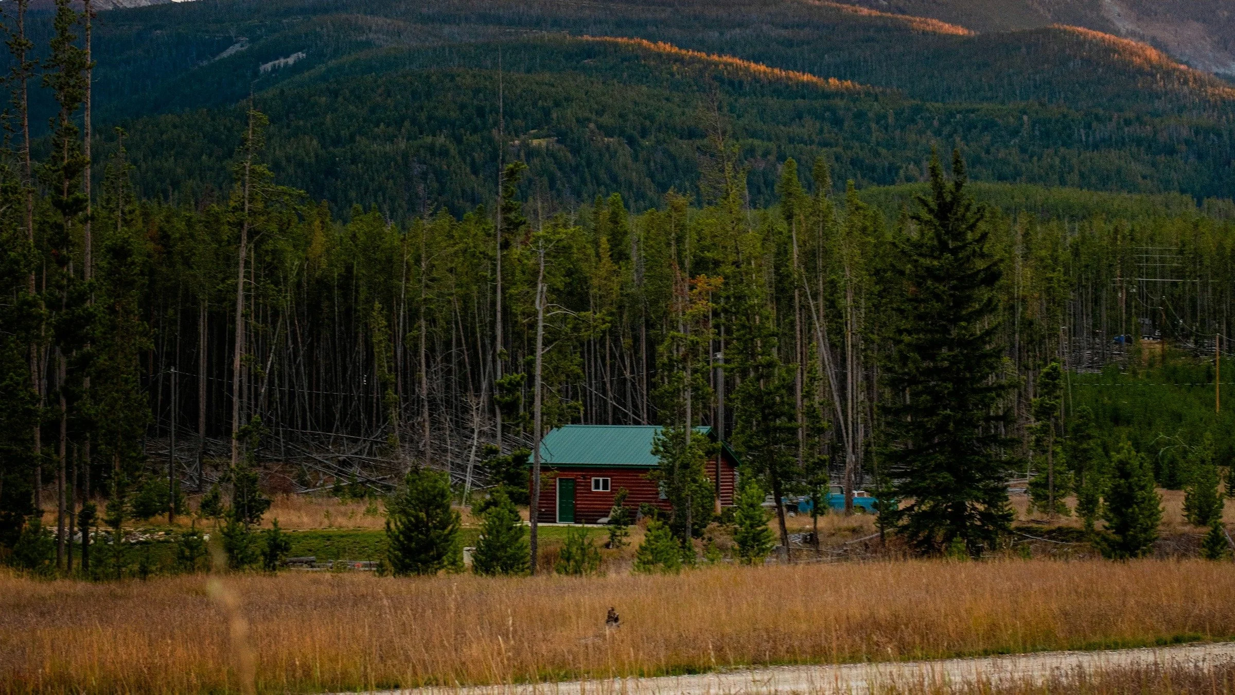 Montana cabin in the wildland-urban interface with an open meadow buffer between the home and the conifer treeline at dusk — where layered wildfire protection starts