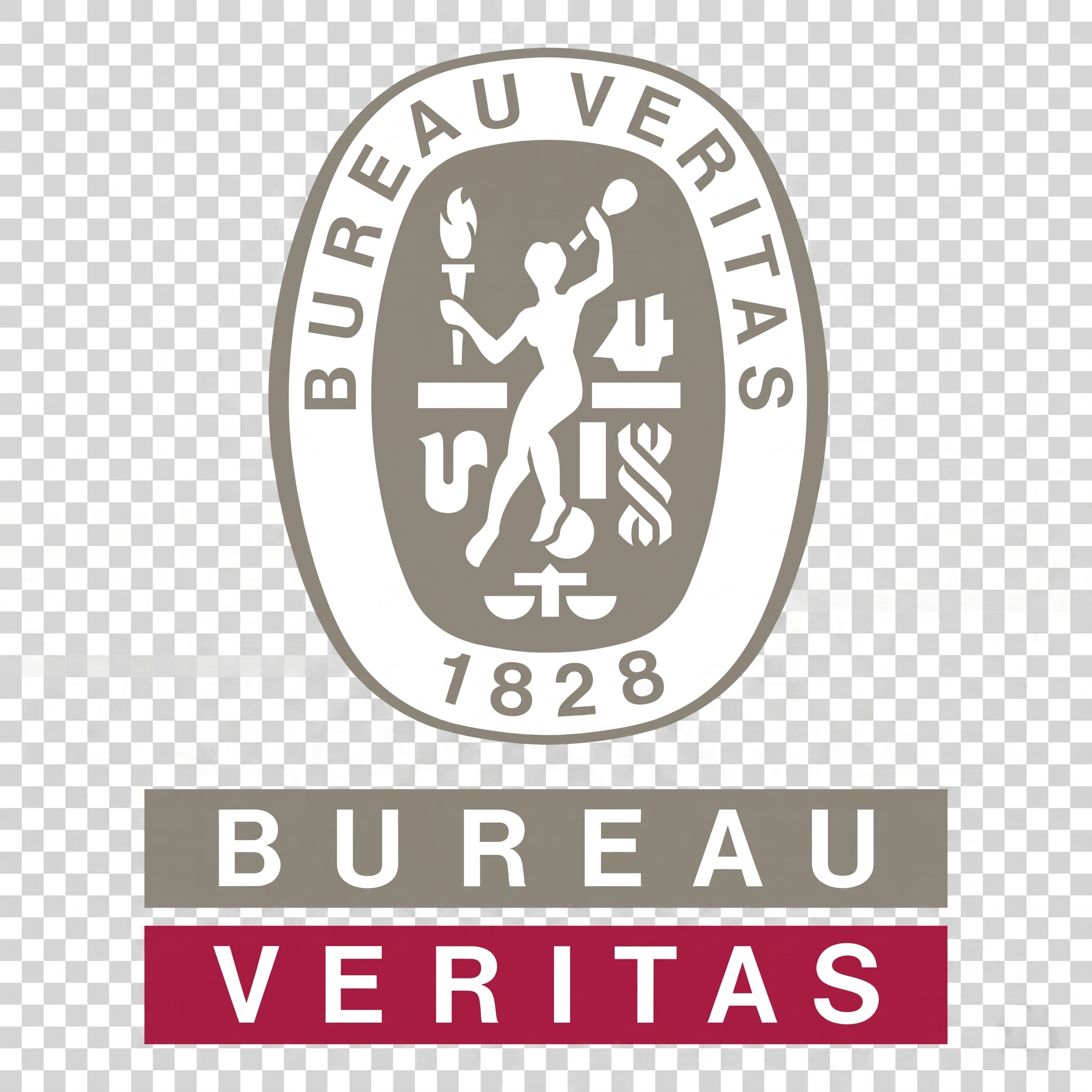 Bureau Veritas Logo