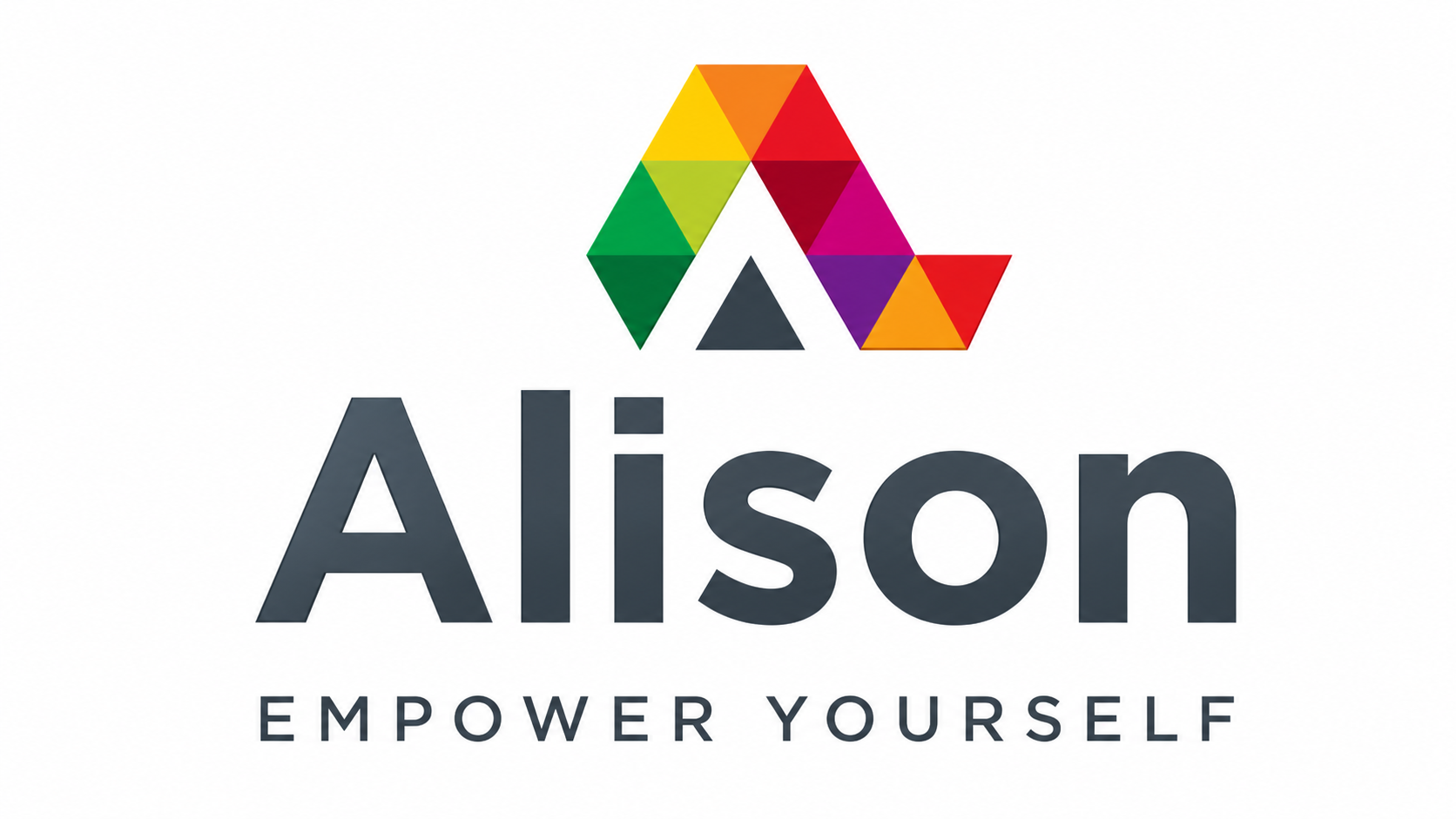 Alison Training Portfolio