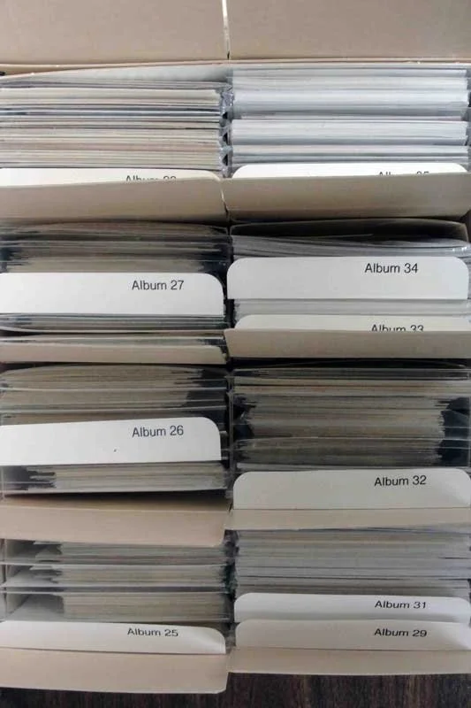 Family photos organized into labeled albums