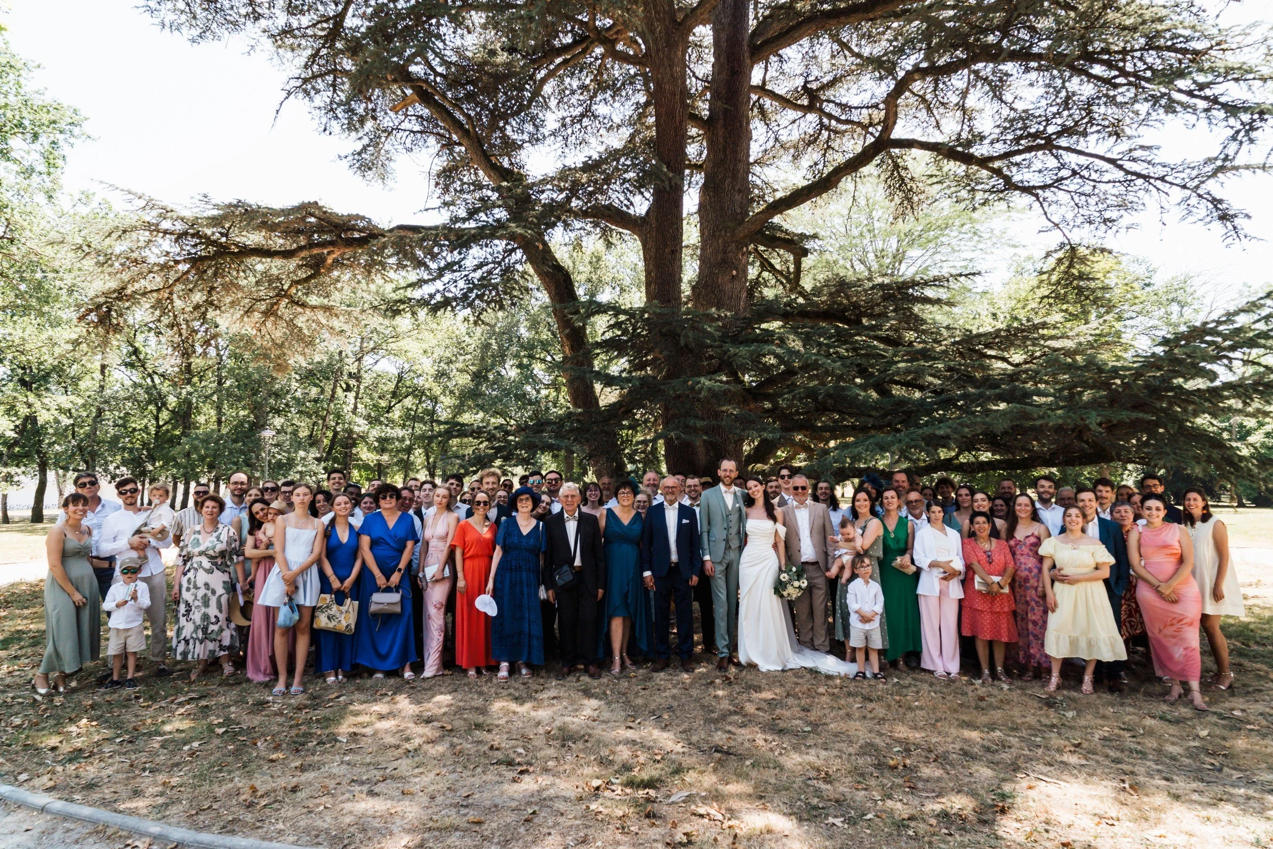 La famille réunie sous un grand arbre