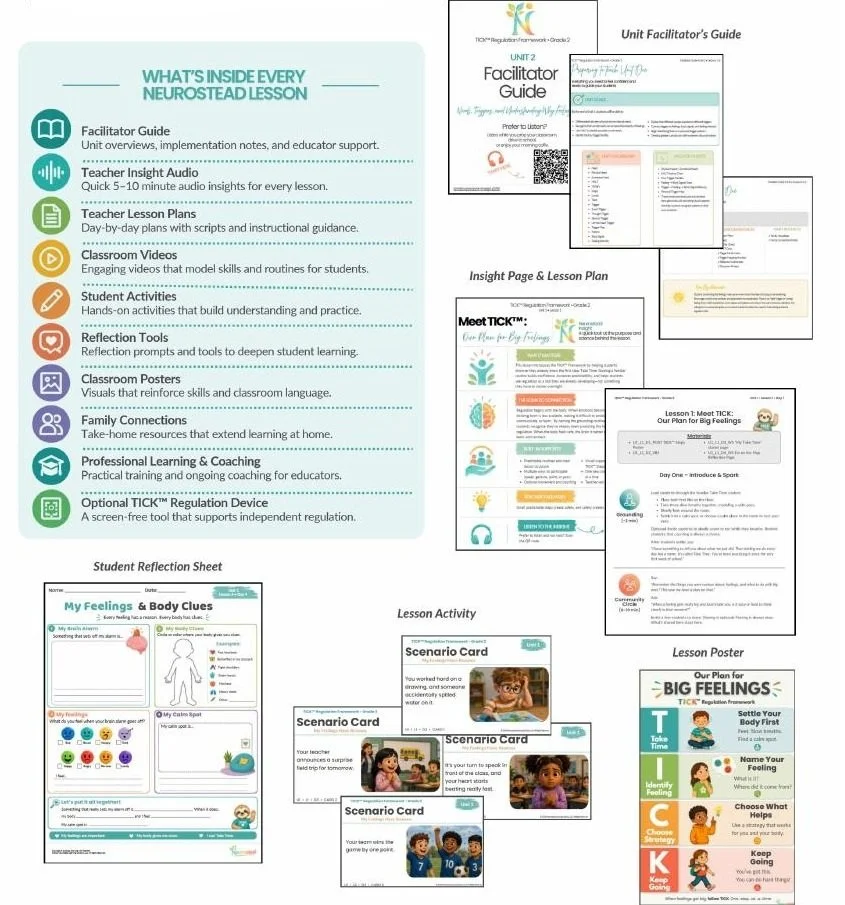 Neurostead facilitator guides, student materials, lesson plans, and classroom visuals