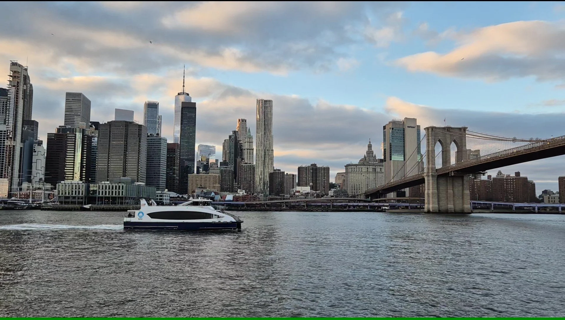 Ferry, Travelling Pandas in New York