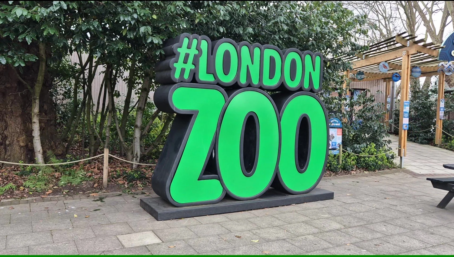 Zoo , Travelling Pandas in London