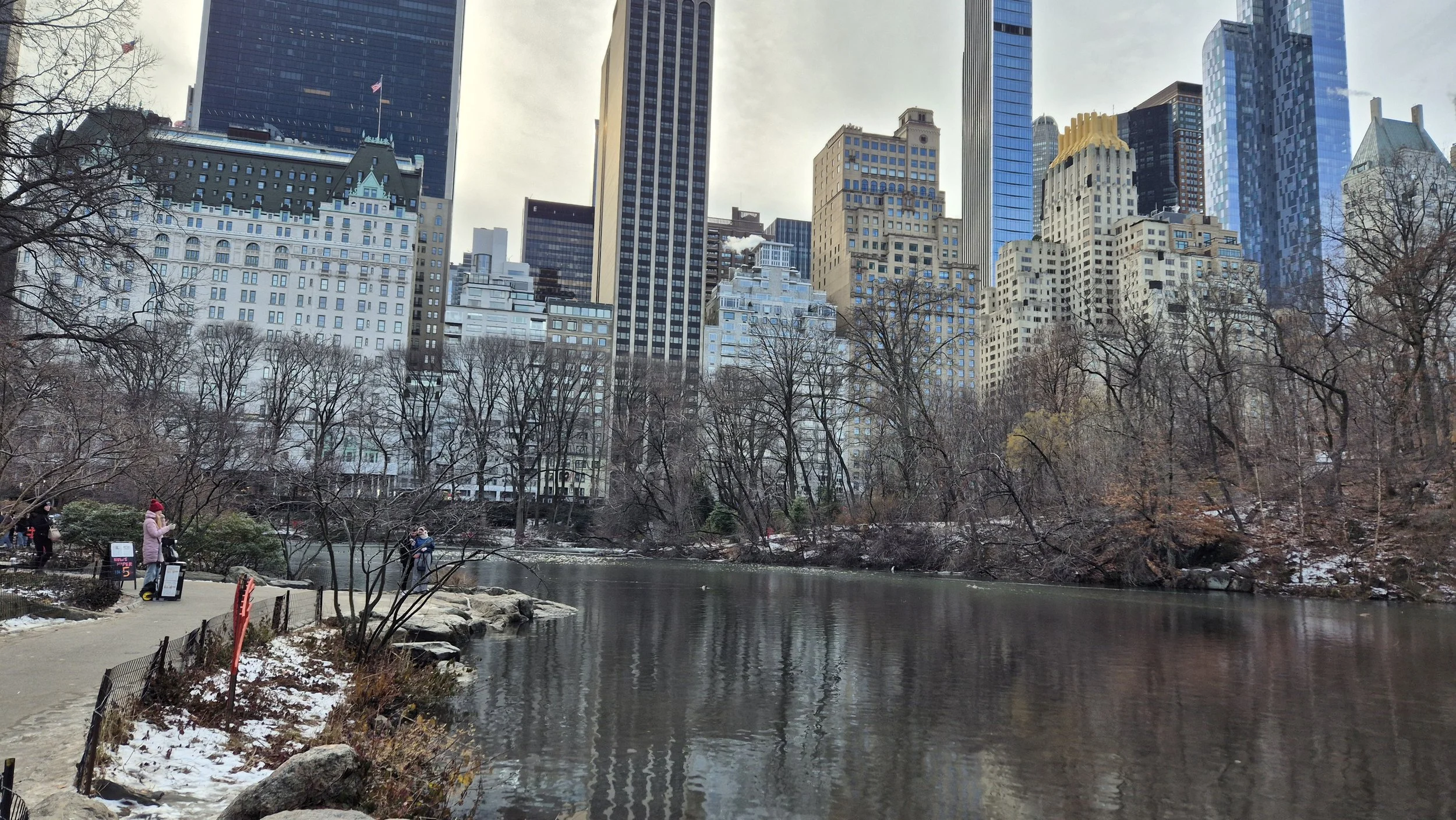 Central-Park, Travelling Pandas in New York