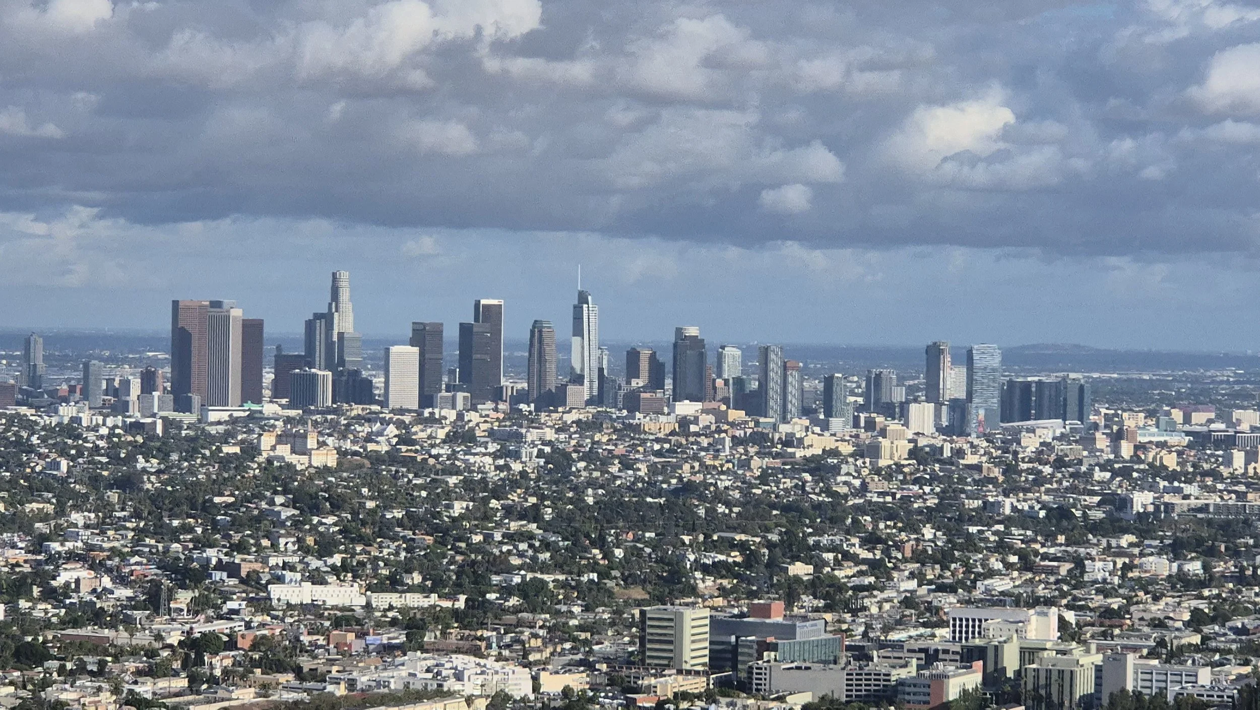 Los Angeles, Travelling Pandas