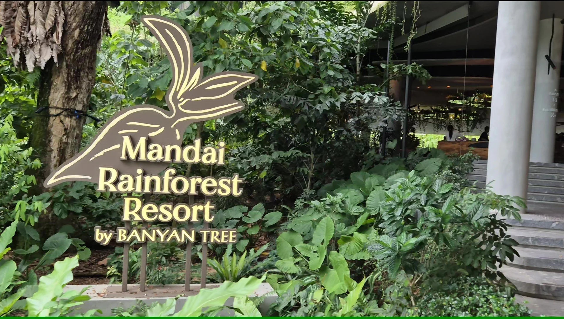 Mandai Rainforest Resort, Travelling Pandas in Singapore