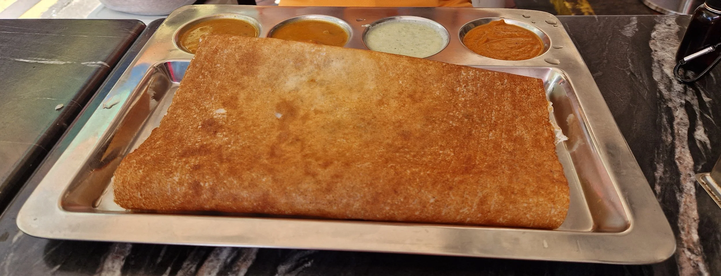 Indian Food , Travelling Pandas in Singapore
