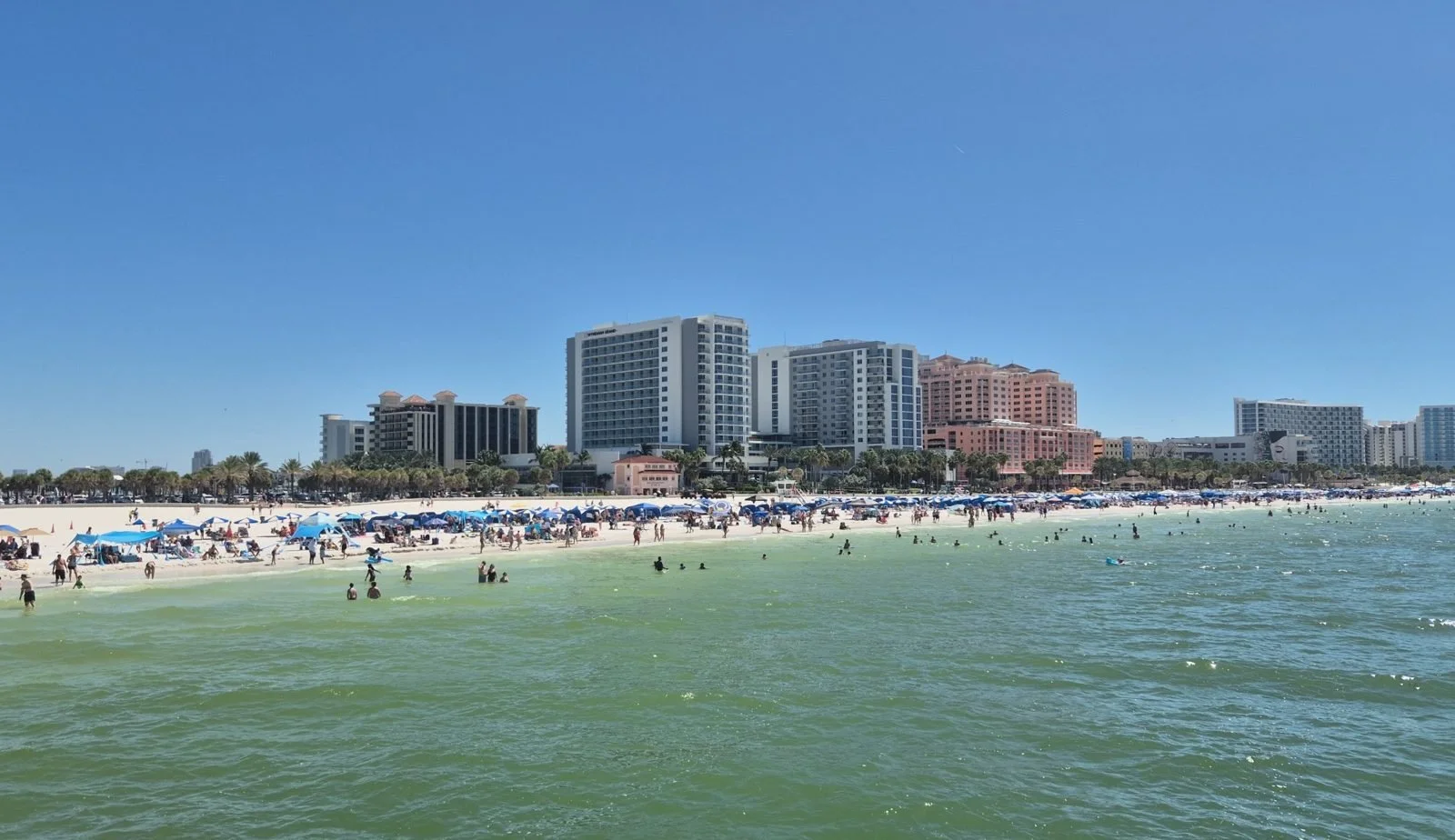 Clearwater Beach near Pier 60, Travelling Pandas in Clearwater