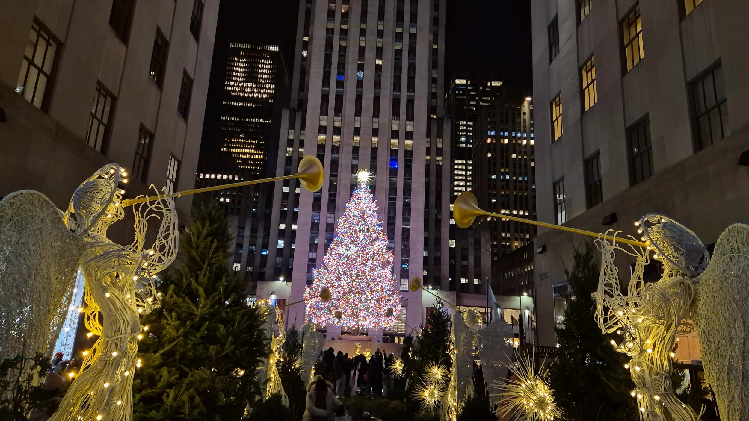 Rockfella-Tree, Travelling Pandas in New York