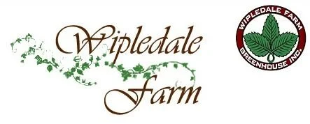 Wipledale
