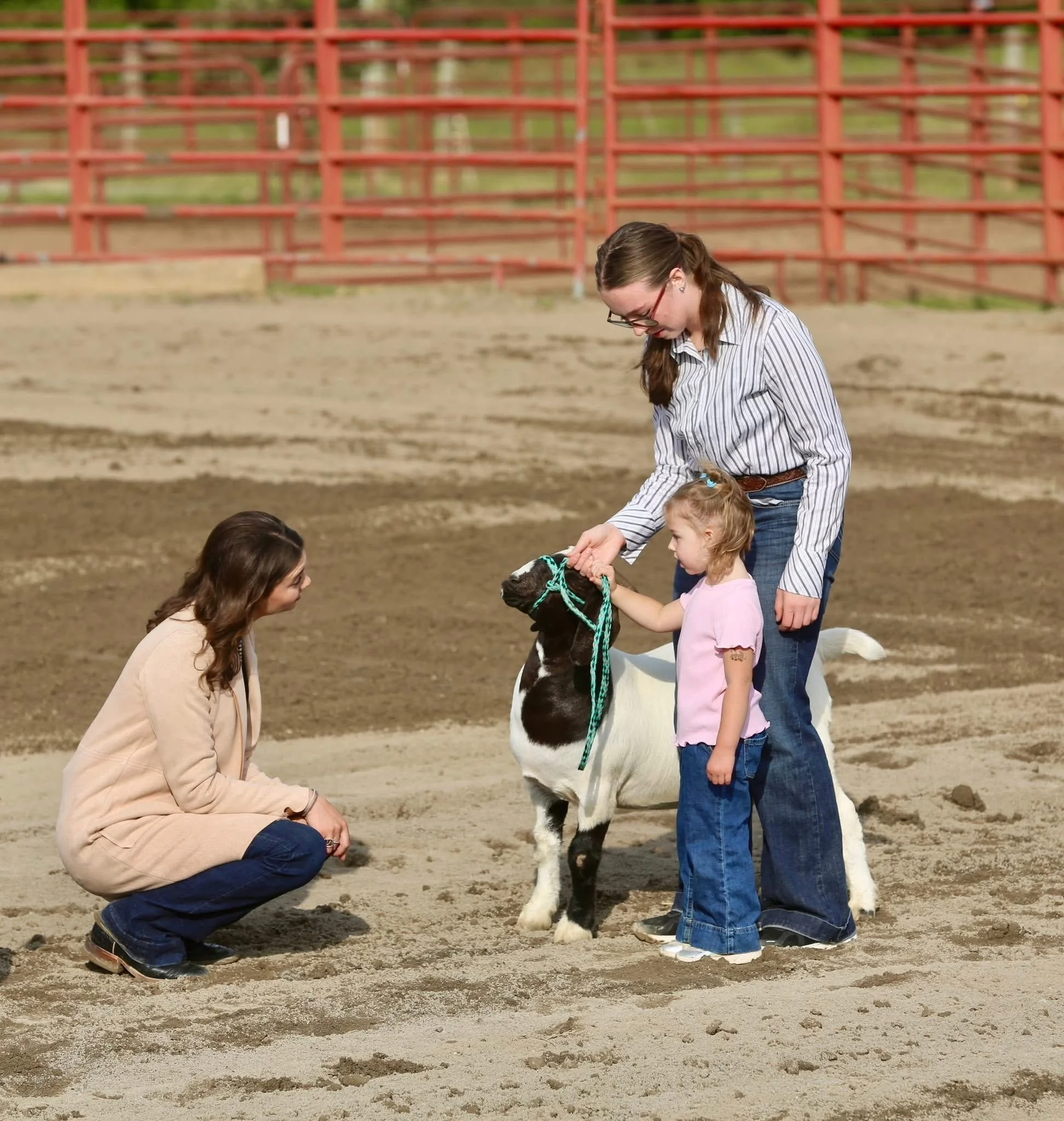 Goat show at the 2025 Bedford County Fair
