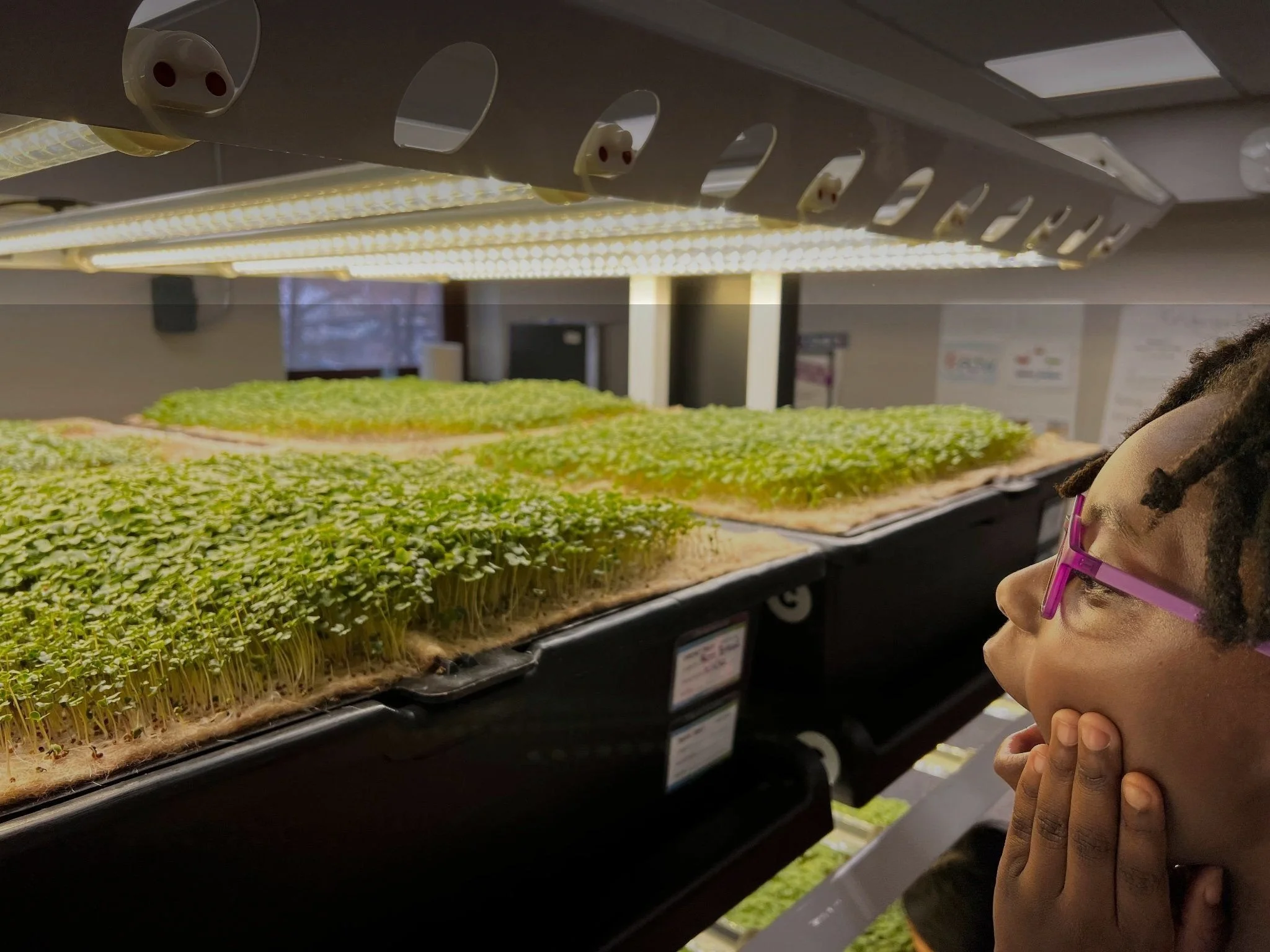 Students growing food