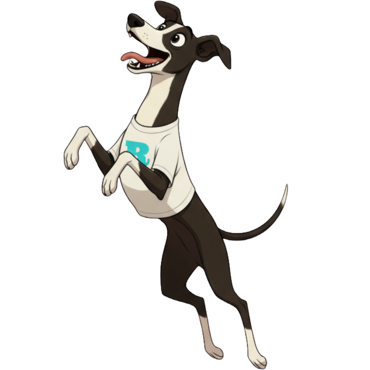 Taylor the dog jumping with excitement