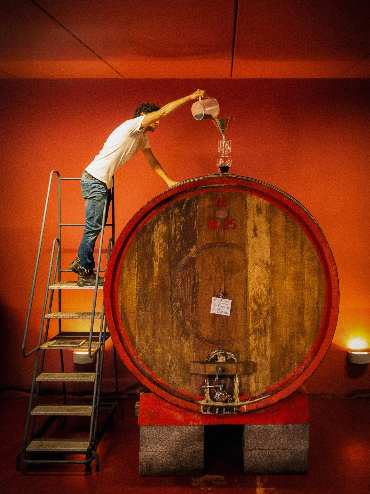 Anfore di terracotta nella cantina de I Mandorli a Suvereto