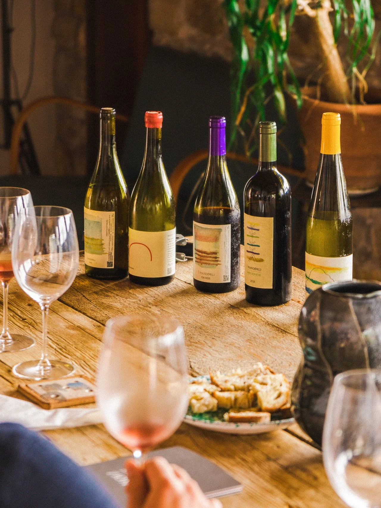 Un calice di vino con vista panoramica dal tetto de I Mandorli