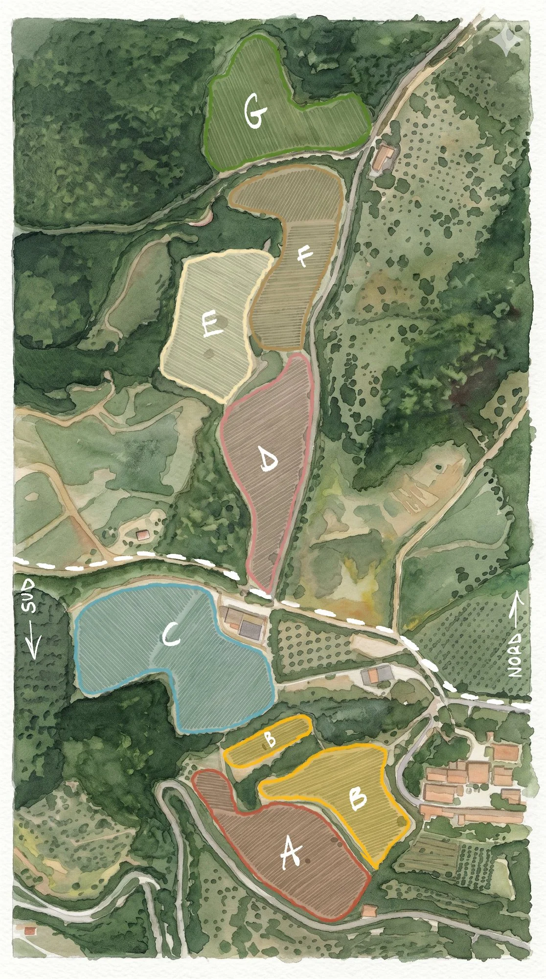 Mappa dei vigneti de I Mandorli a Belvedere di Suvereto