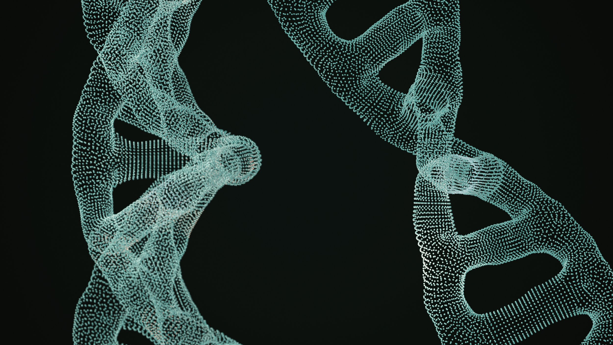 Regenerative Protocols