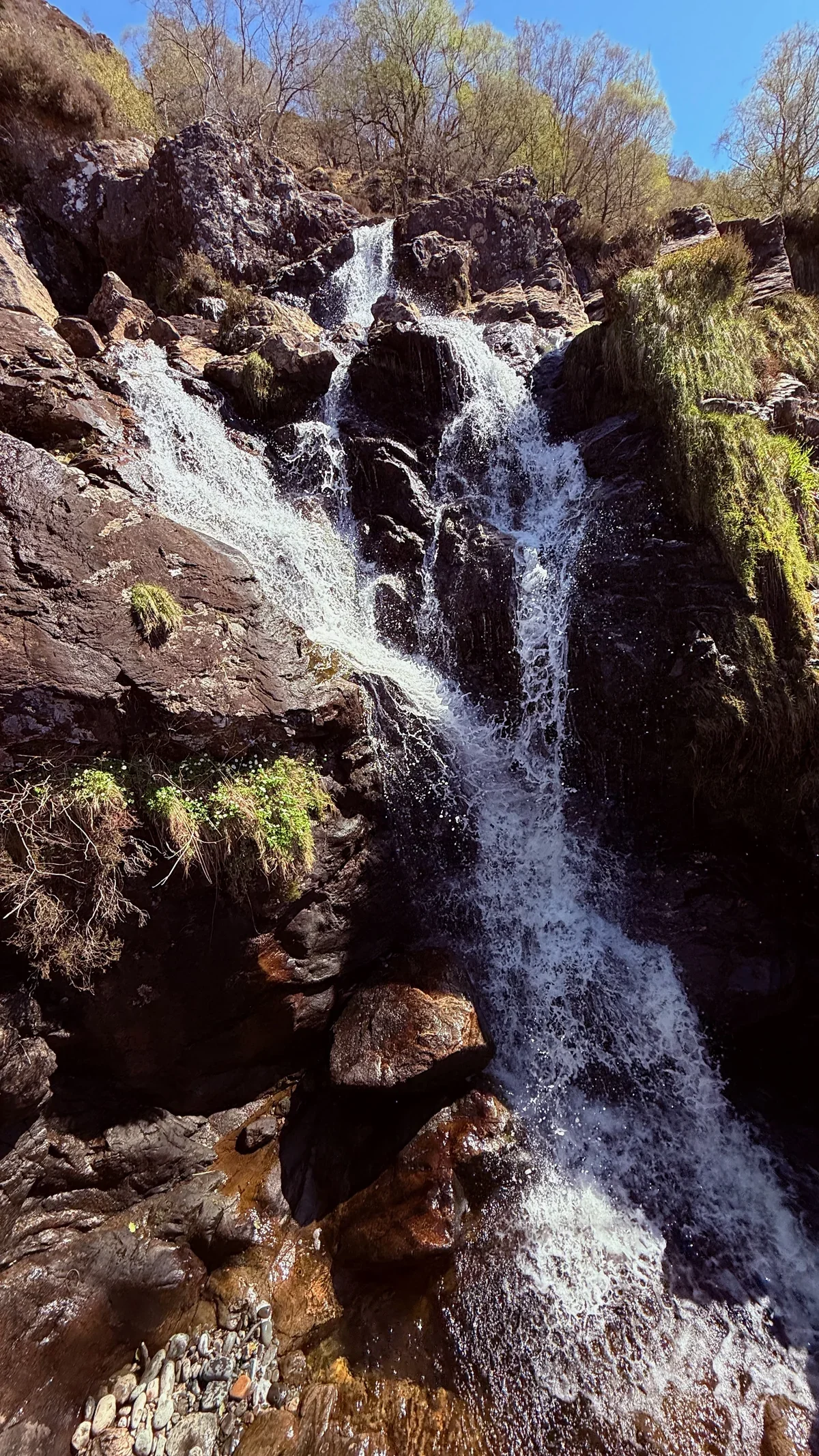 Sunlight catches a waterfall cascading over dark rocks beside spring woodland.