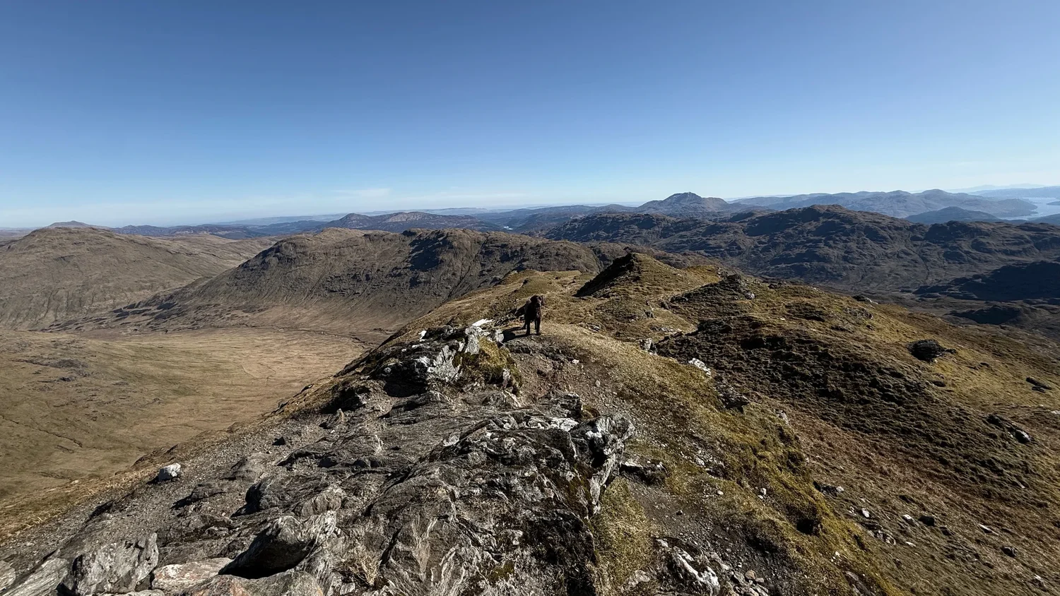 Bailey ahead on a familiar rocky Scottish hill path, with an onward ridge in view.