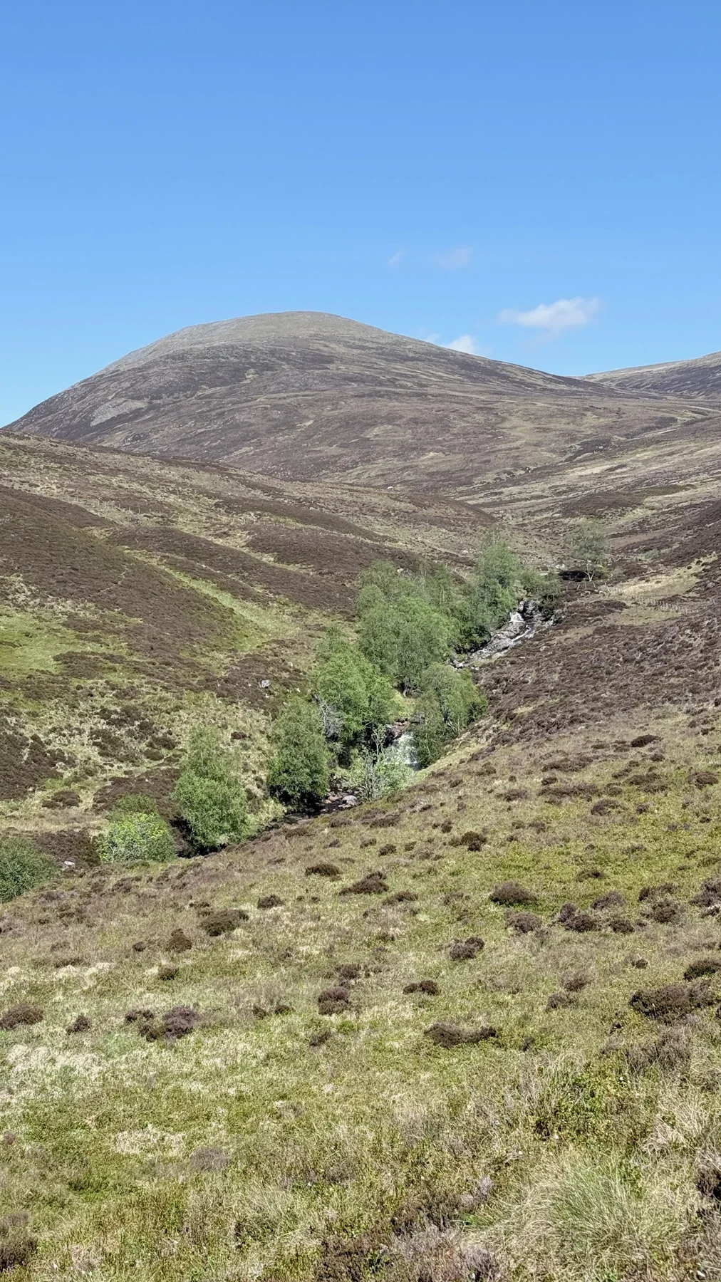 Rounded Scottish hills rise above a heather-covered glen and a tree-lined burn.