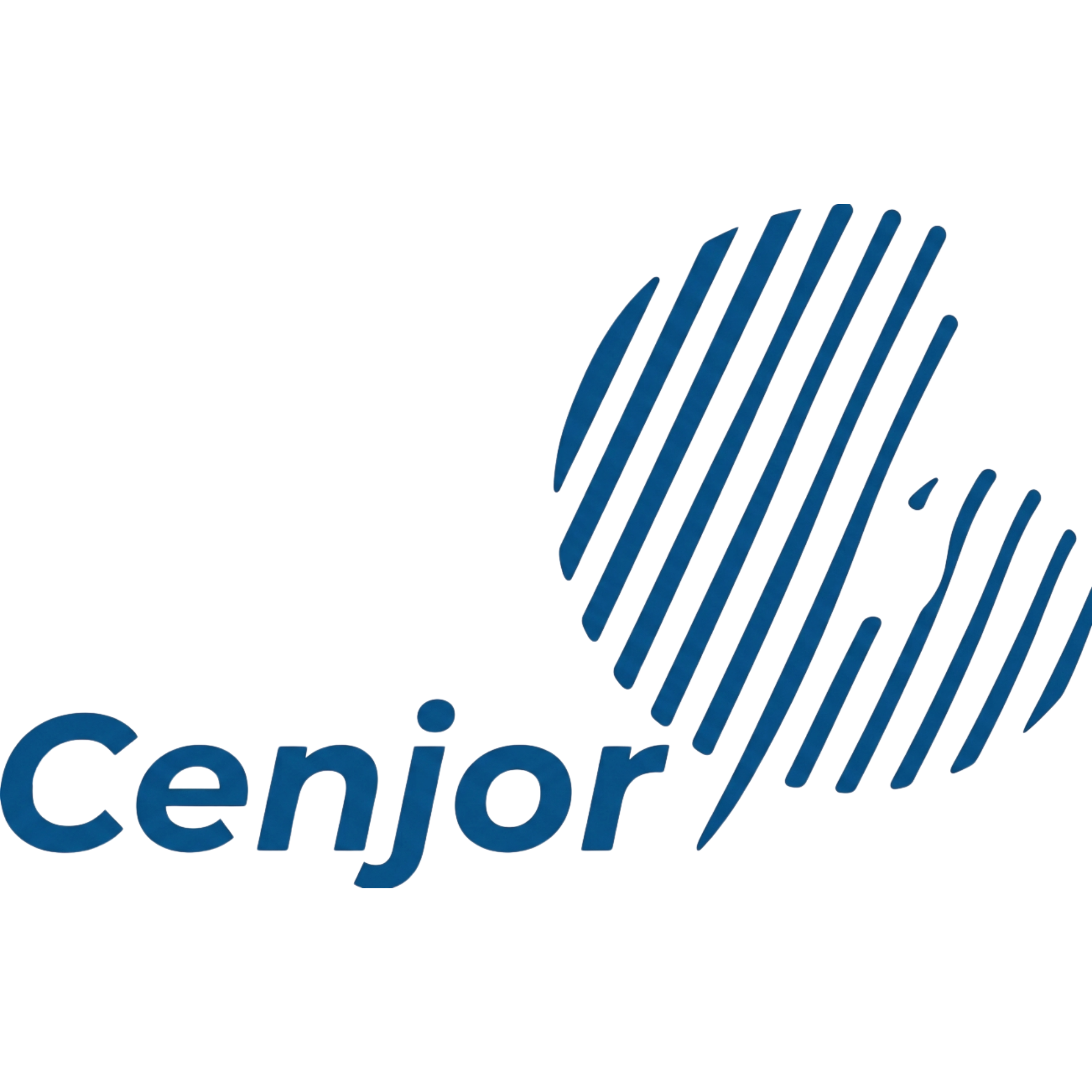 Cenjor logo