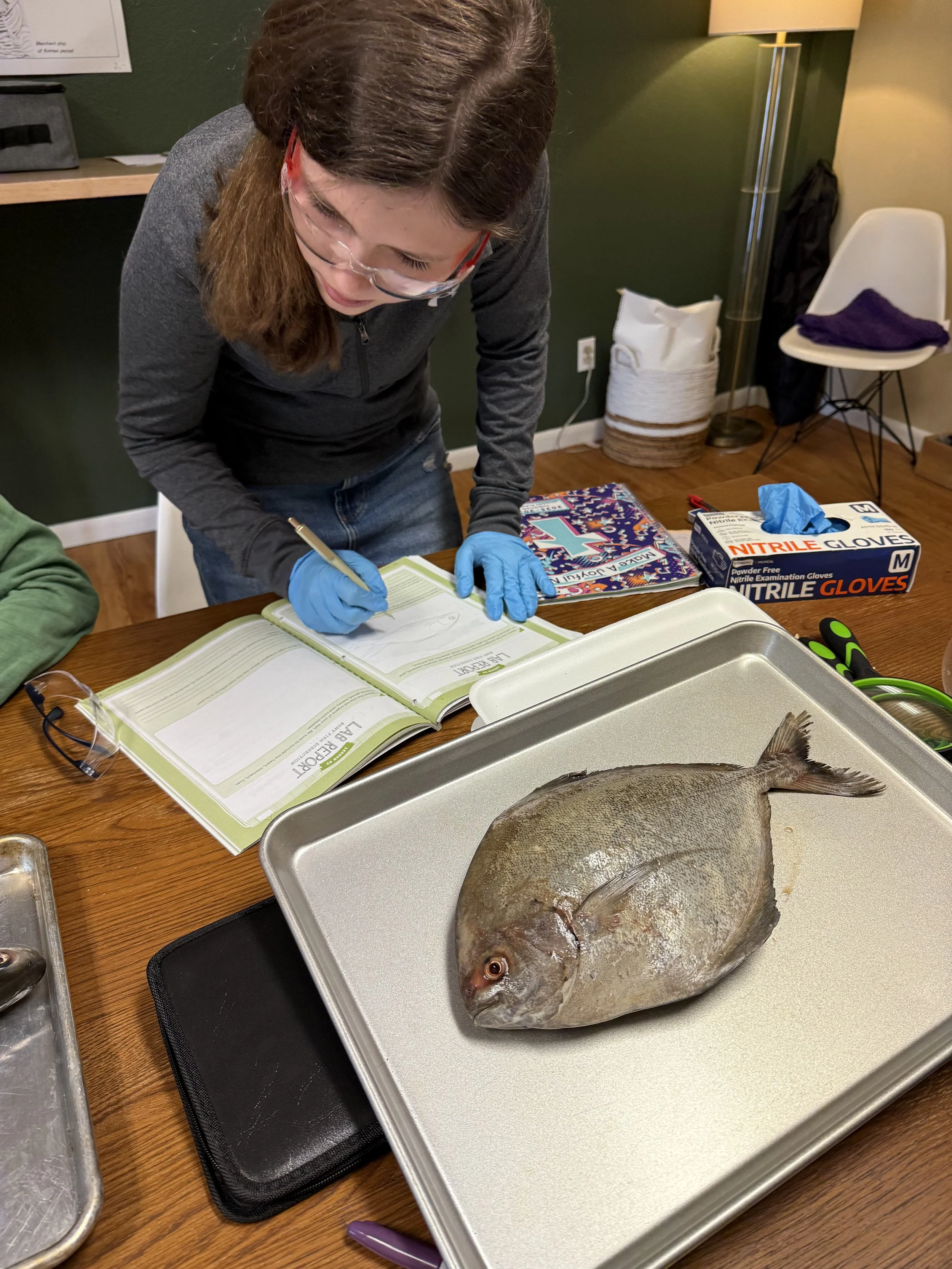 Fish dissection lab