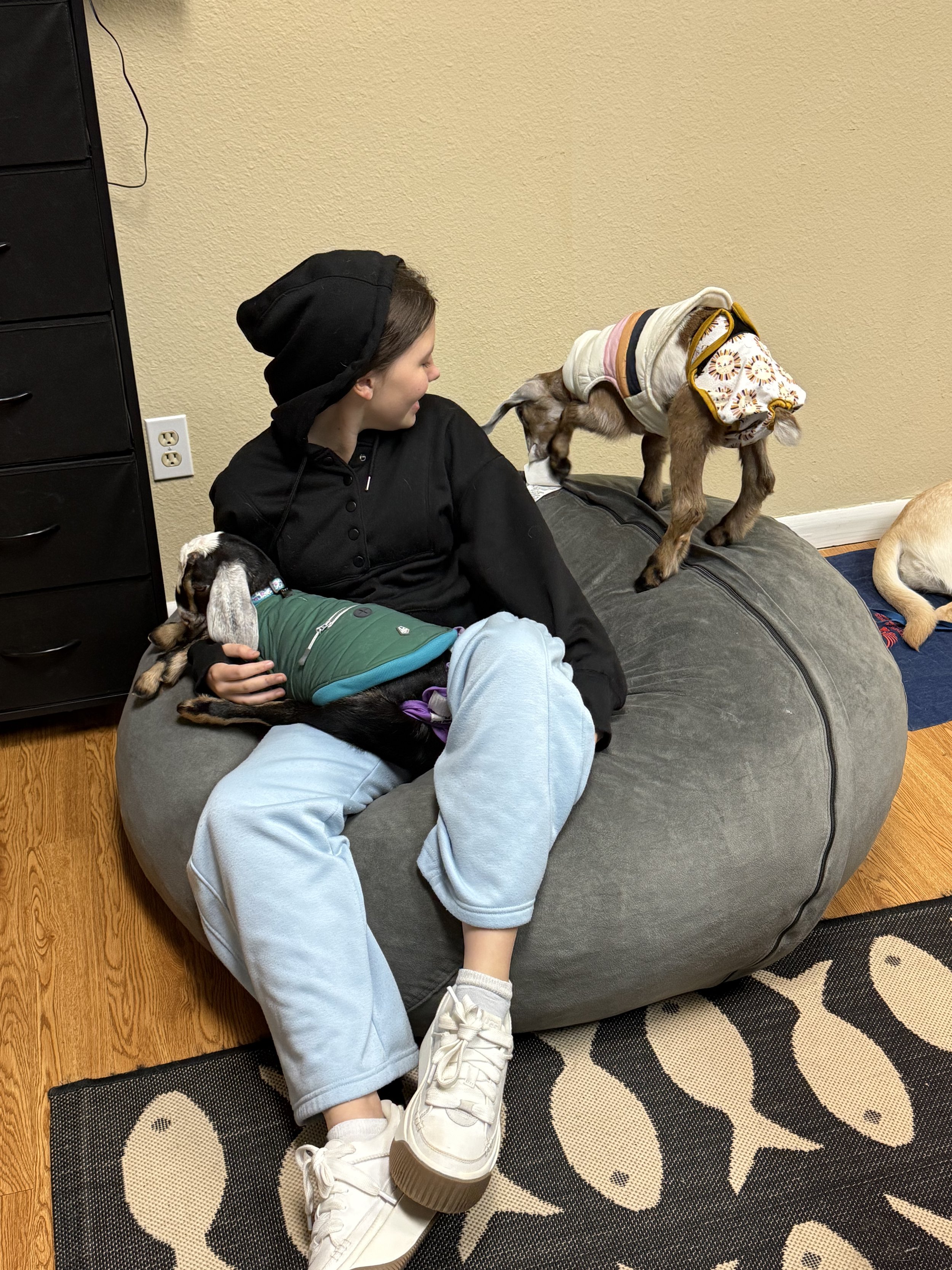 Student with baby goats