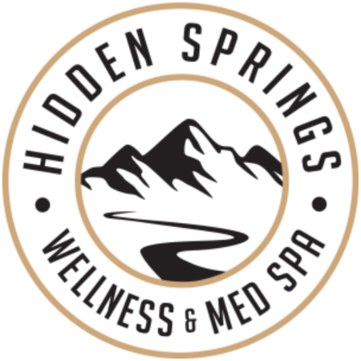 Hidden Springs Wellness and Med Spa logo