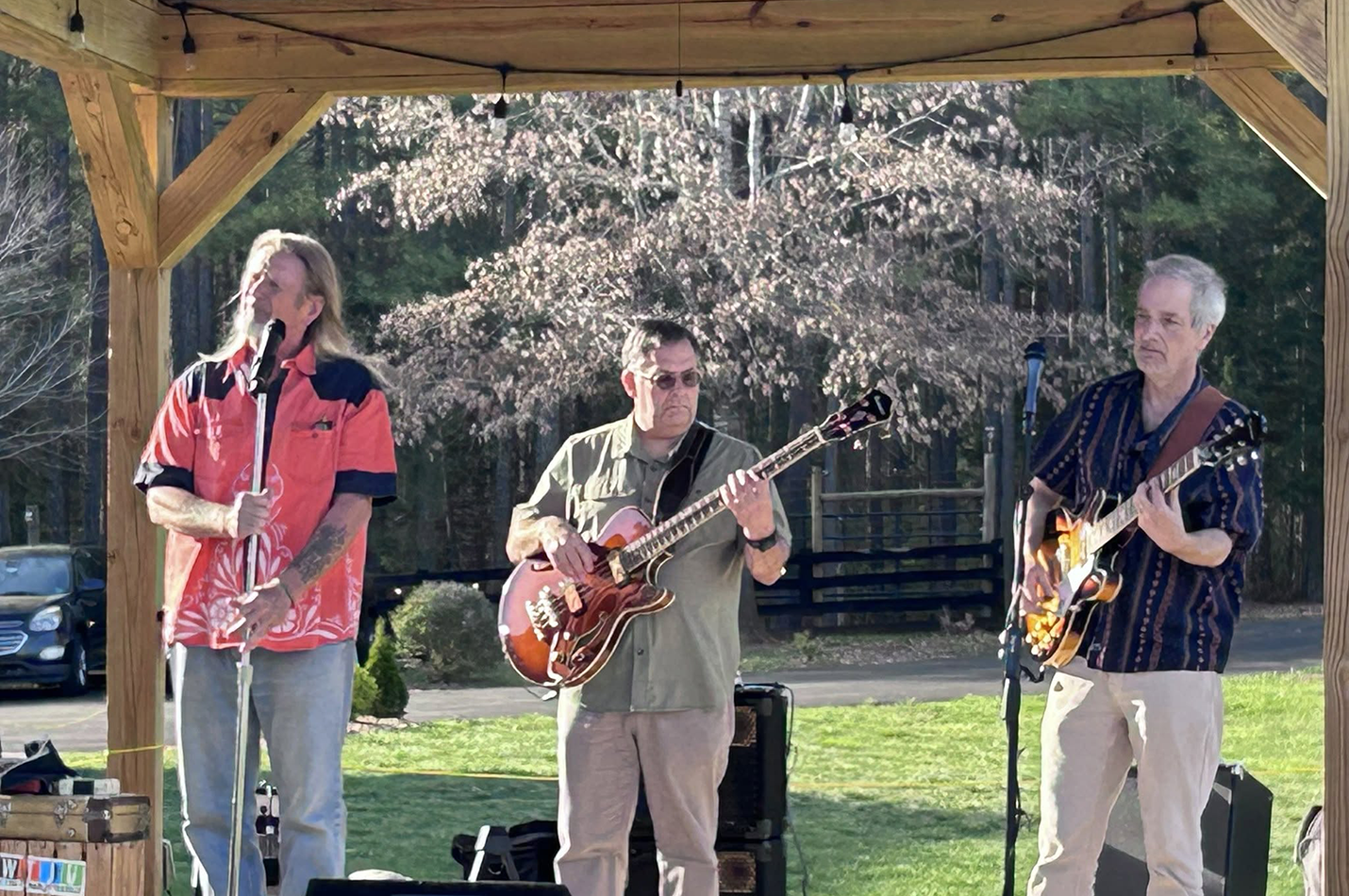 Live Music The Wavelength