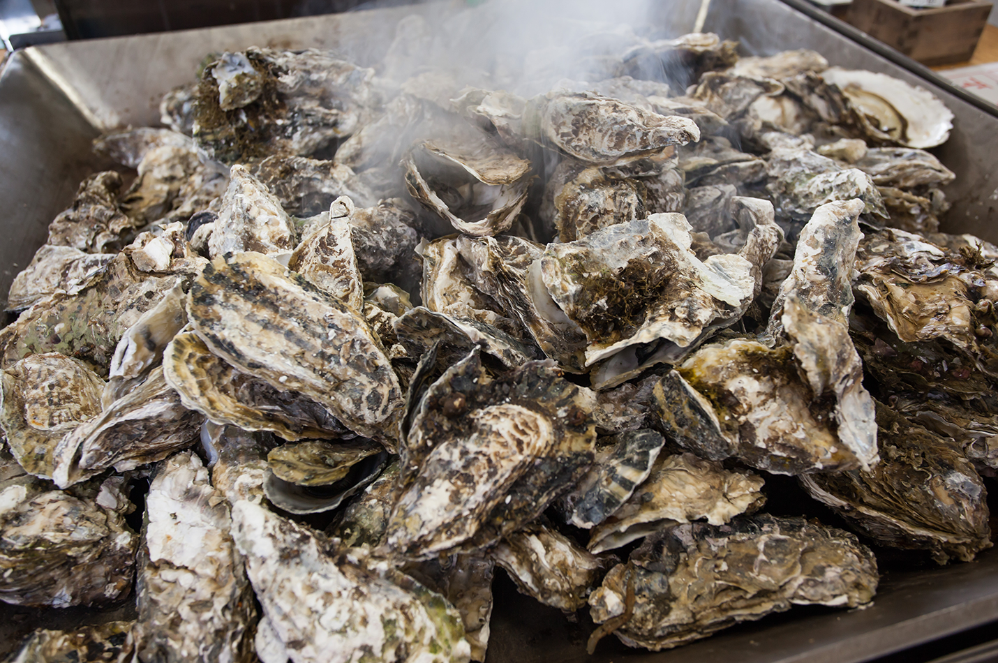 Pickin & Shuckin 2026 Oyster Roast Copper Fox Distillery