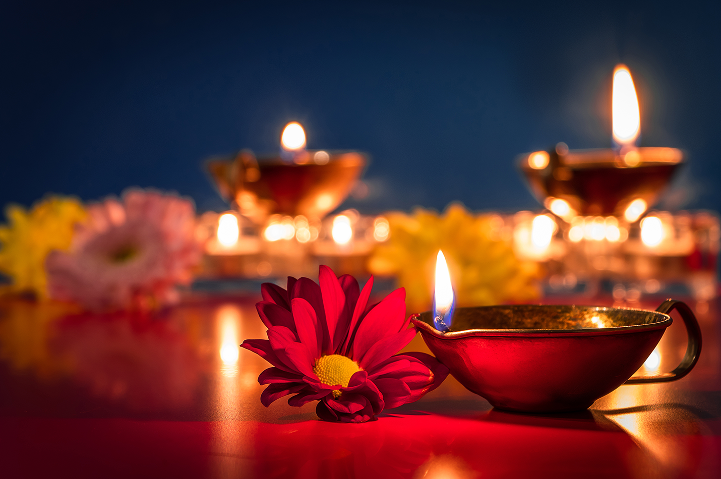 Diwali Celebration! Narmada Winery