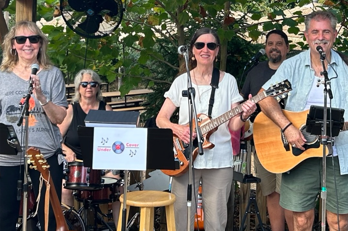 Live Music Under Cover Band