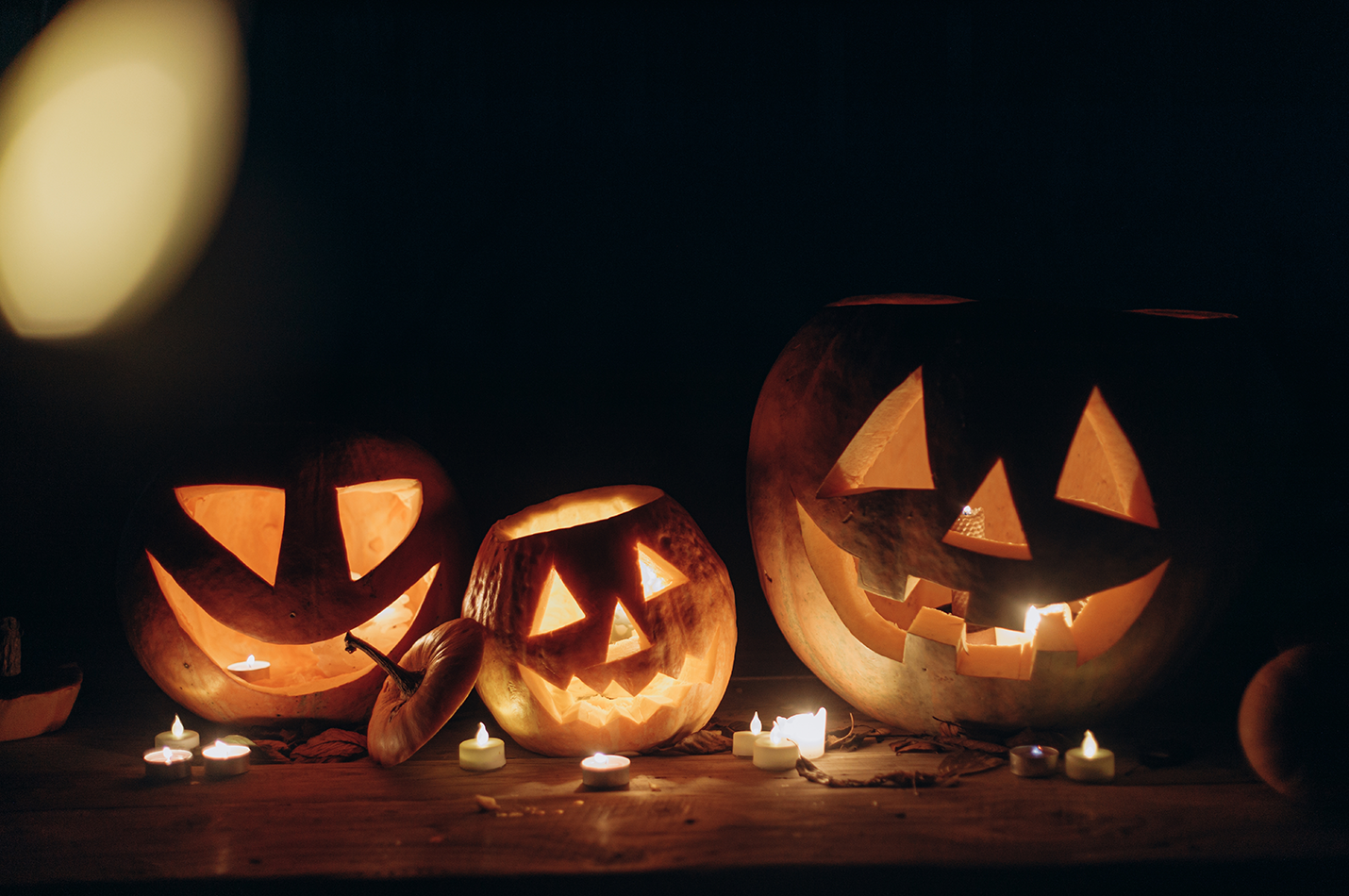 Halloween! Narmada Winery