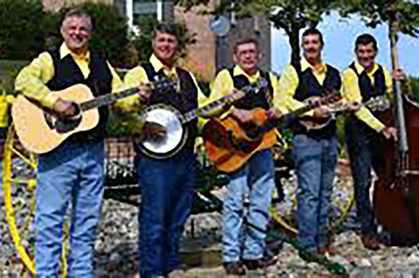 Live Music Just Wingin' It