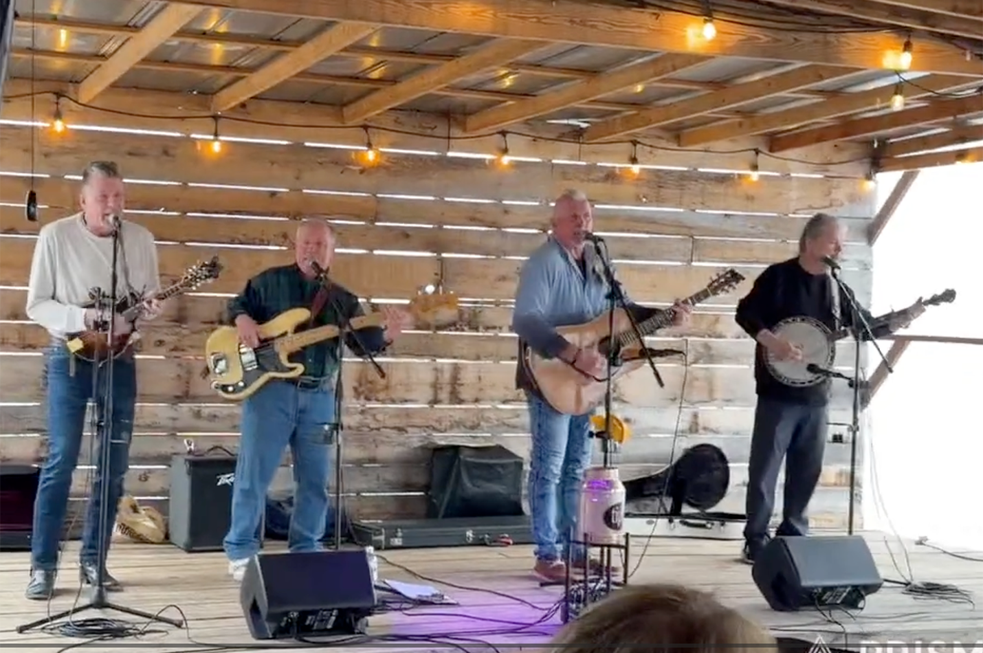 Live Music Bob Cook & Co