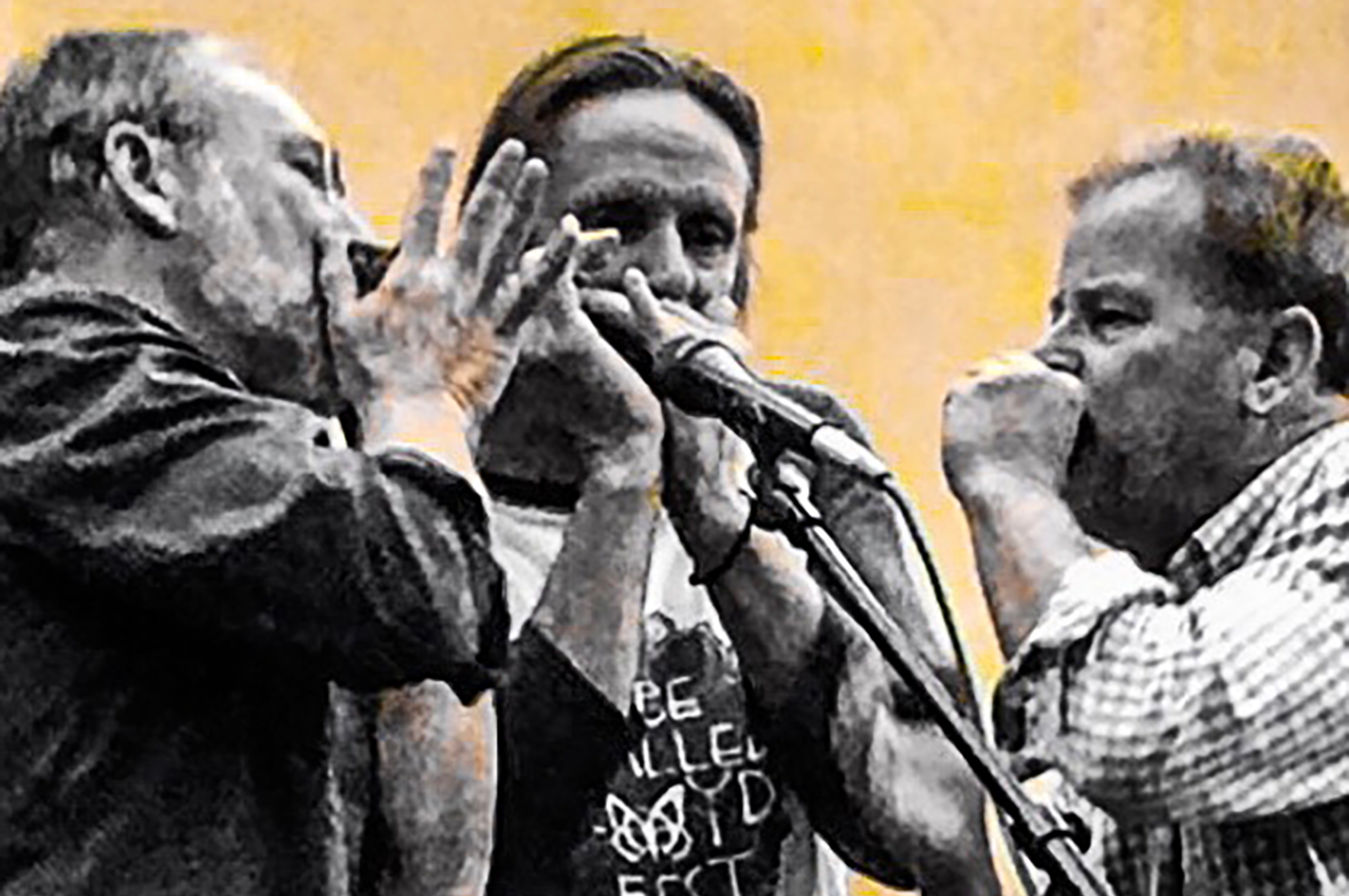 Live Music The Blowbirds