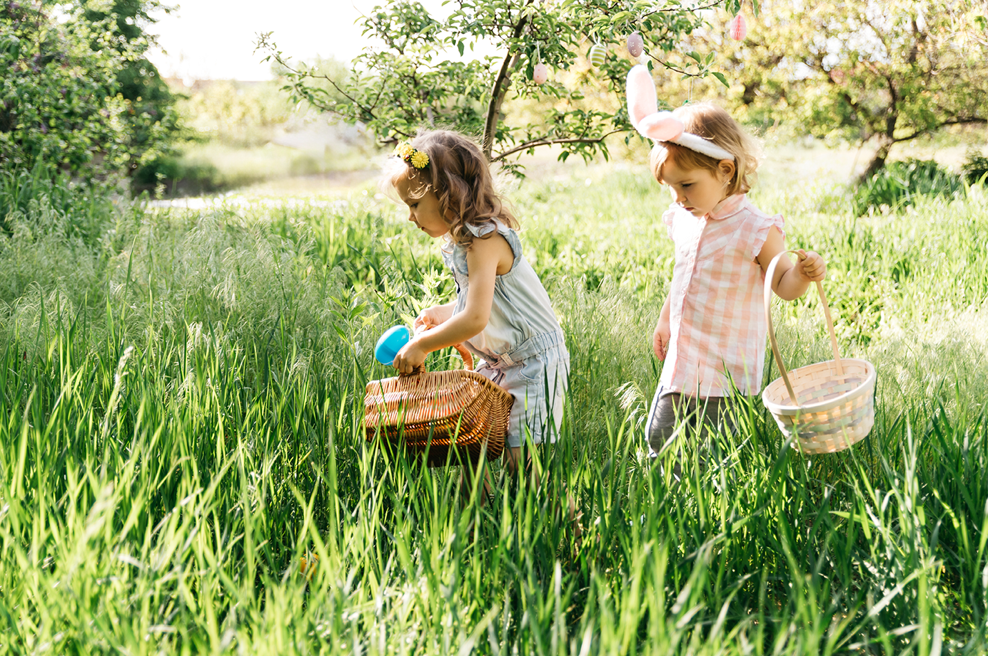 Easter Celebration- Egg Hunts and More Bald Top Brewing Company